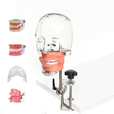 Simulador Dental Nissin (Maniquí)