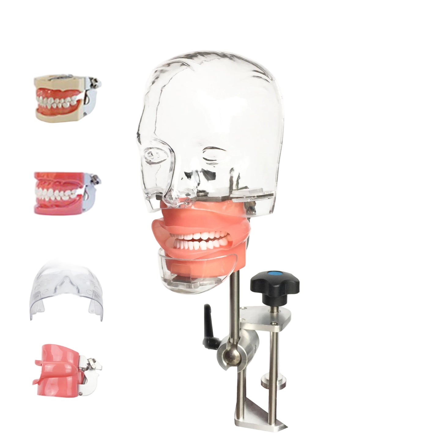 Simulador Dental